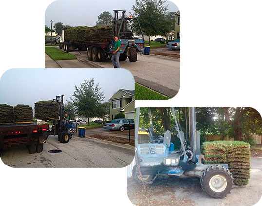 winter garden grassing sod and tractor